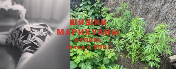 каннабис Верея