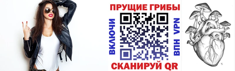 Псилоцибиновые грибы Cubensis  Горячеводский 